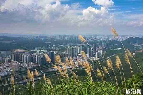 深圳塘朗山环山公路可以开车进去吗 登山口在哪里