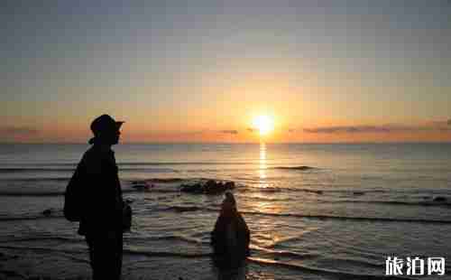 8月適合去哪里旅游國內(nèi) 8月去哪里旅游最好