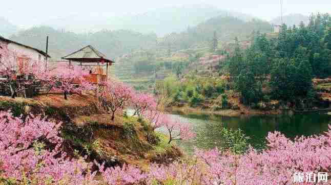 常德桃花源一日游攻略常德桃花源怎么走