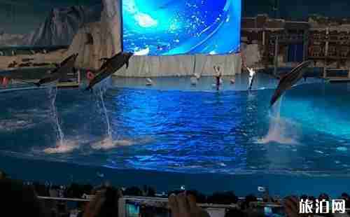 2018成都海昌海洋公园门票价格+优惠政策