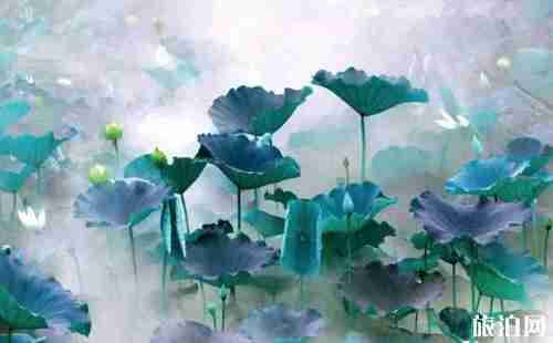 2018海灣森林公園荷花節(jié)時間+門票+學(xué)生票