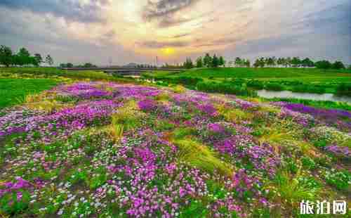 2018上海辰山植物園門票價格+優惠政策