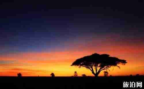 坦桑尼亞是落地簽嗎 坦桑尼亞簽證攻略