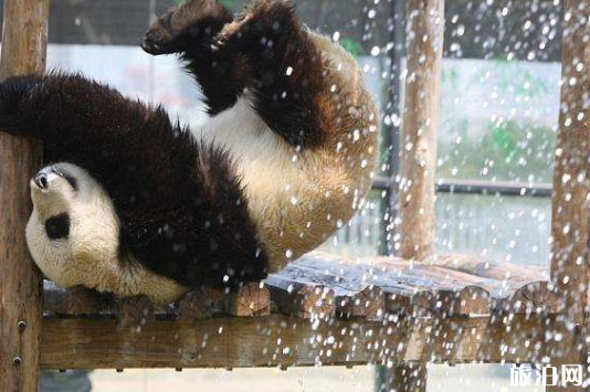 2018烟台动物园中高考生免费吗 烟台动物园门票多少钱 2018烟台动物园中高考生免费吗 烟台动物园门票多少钱