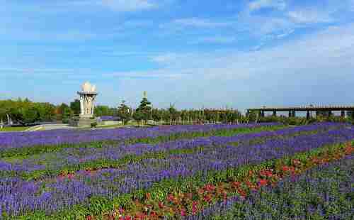2018六一儿童节石家庄植物园免费吗 2018六一儿童节石家庄植物园免费吗