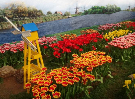 2018六一儿童节石家庄植物园免费吗 2018六一儿童节石家庄植物园免费吗