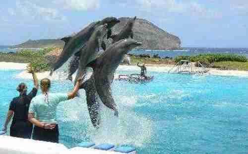 夏威夷好玩吗 夏威夷有什么好玩的 夏威夷好玩吗 夏威夷有什么好玩的