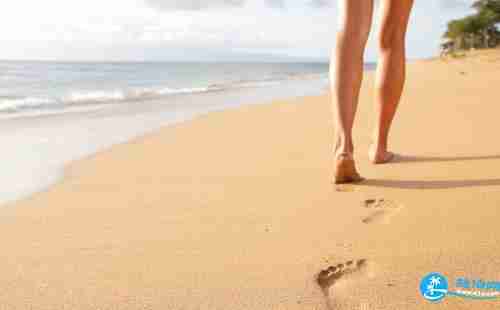 沙灘有幾種顏色 世界上哪里有粉色海灘 沙灘有幾種顏色 世界上哪里有粉色海灘