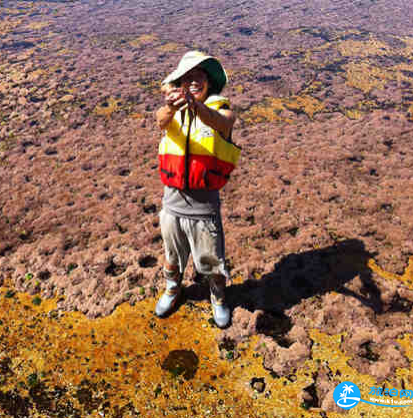 澳大利亞怎么釣魚 澳洲海釣攻略
