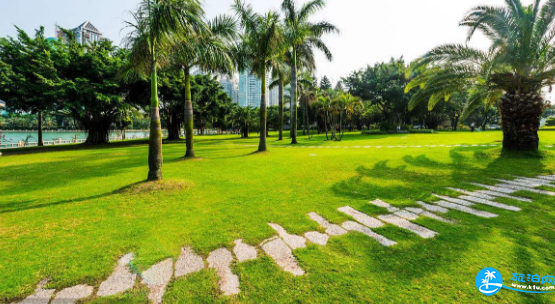 厦门免费公园有哪些 厦门岛内公园景点推荐 厦门免费公园有哪些 厦门岛内公园景点推荐