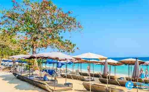 芭提雅海島哪個好玩 芭提雅附近有哪些海島