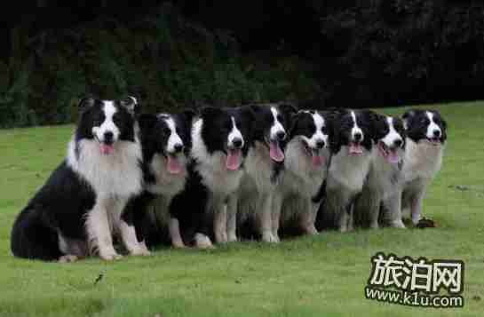 2018年春節(jié)上海浦東新區(qū)有哪些好玩的地方和活動 2018年春節(jié)上海浦東新區(qū)有哪些好玩的地方和活動