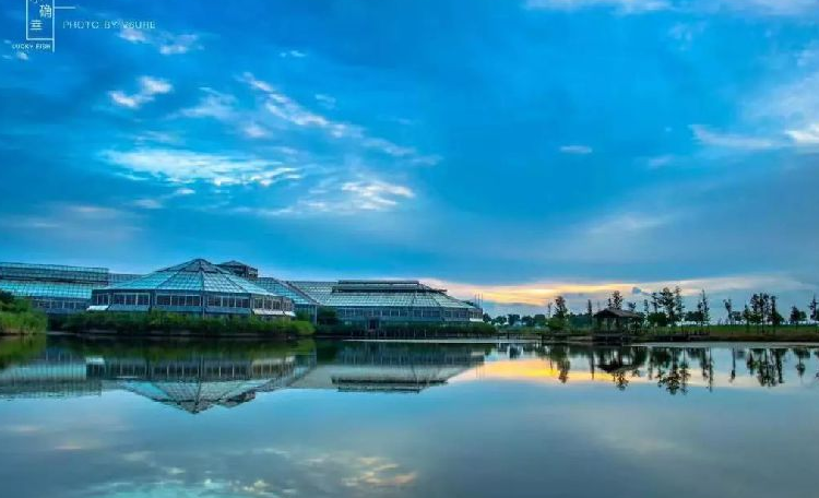 2018年春節(jié)上海金山區(qū)有什么好玩的地方和活動 2018年春節(jié)上海金山區(qū)有什么好玩的地方和活動