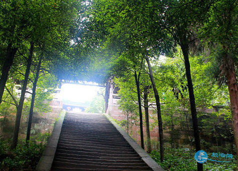 峨眉山有什么好玩的地方 峨眉山有什么好玩的地方