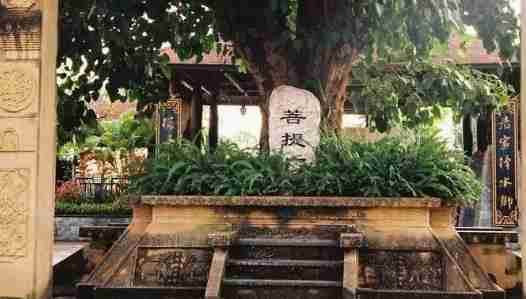 云南德宏旅游攻略+最佳时间和景点介绍 云南德宏旅游攻略+最佳时间和景点介绍