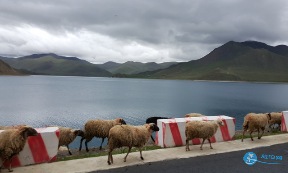 拉萨必游景点 拉萨旅游攻略 拉萨必游景点 拉萨旅游攻略