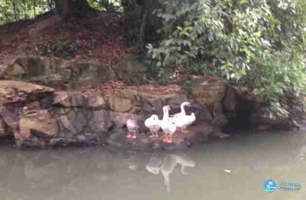 紹興2日游攻略 紹興二日游攻略