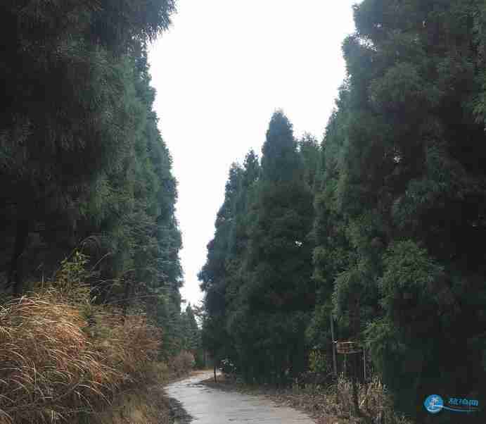 白马山游记 白马山旅游攻略 白马山游记 白马山旅游攻略