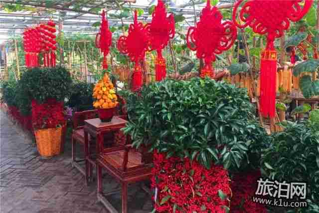 2018年春节期间北京丰台过年有哪些好玩的活动