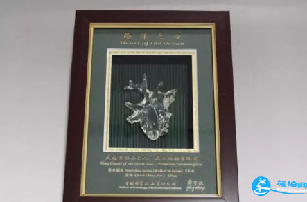 天津海博館開館了嗎 天津海博館在哪里 天津海博館開館了嗎 天津海博館在哪里