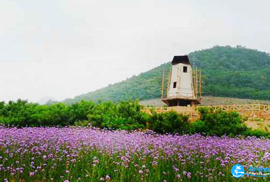 東方普羅旺斯薰衣草莊園什么時候去最好