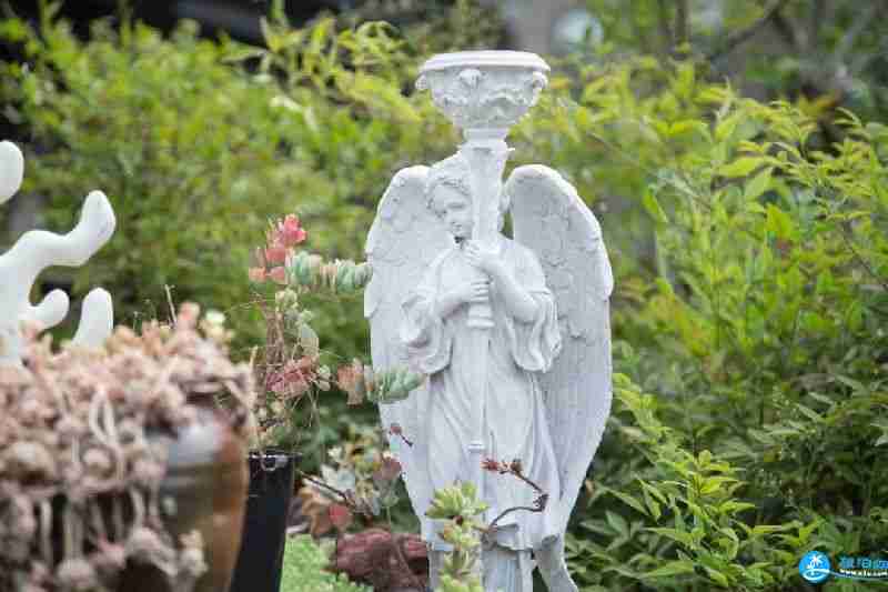 2018上海多肉展門票購買+時間+地址+交通指南