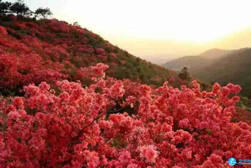 武漢云霧山幾月去好玩