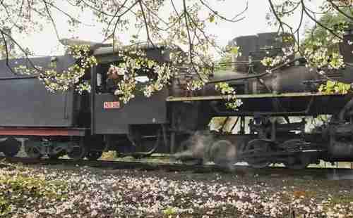 重庆周边冷门景点 重庆周边人少的景点有哪些 重庆周边冷门景点 重庆周边人少的景点有哪些