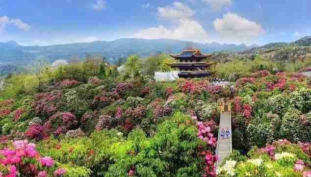 重庆周边冷门景点 重庆周边人少的景点有哪些 重庆周边冷门景点 重庆周边人少的景点有哪些