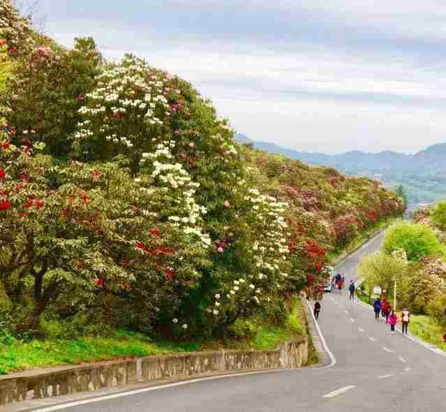 重庆周边冷门景点 重庆周边人少的景点有哪些 重庆周边冷门景点 重庆周边人少的景点有哪些