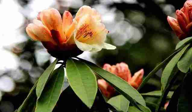 重庆周边冷门景点 重庆周边人少的景点有哪些 重庆周边冷门景点 重庆周边人少的景点有哪些