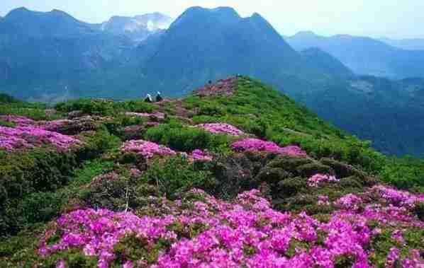 重庆周边冷门景点 重庆周边人少的景点有哪些 重庆周边冷门景点 重庆周边人少的景点有哪些