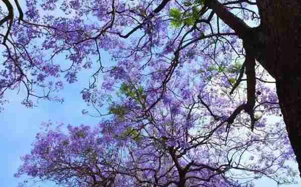 重庆周边冷门景点 重庆周边人少的景点有哪些 重庆周边冷门景点 重庆周边人少的景点有哪些