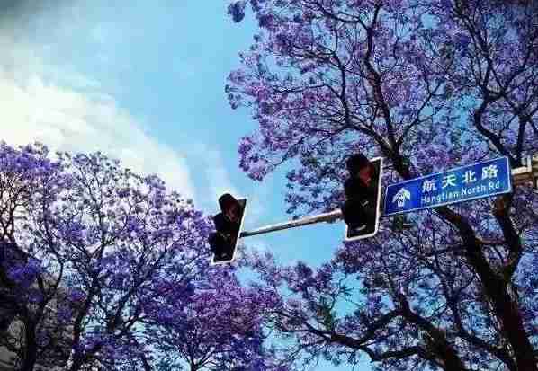 重庆周边冷门景点 重庆周边人少的景点有哪些 重庆周边冷门景点 重庆周边人少的景点有哪些