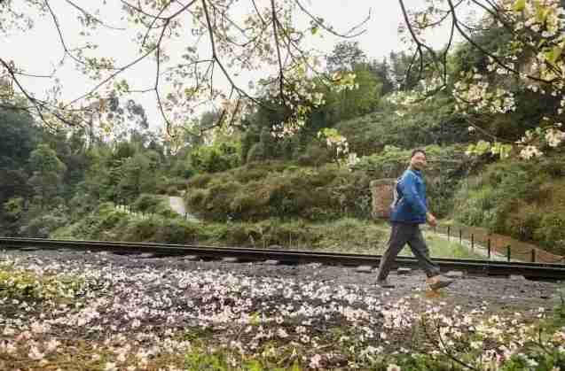 重庆周边冷门景点 重庆周边人少的景点有哪些 重庆周边冷门景点 重庆周边人少的景点有哪些