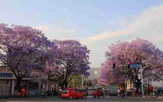 重庆周边冷门景点 重庆周边人少的景点有哪些 重庆周边冷门景点 重庆周边人少的景点有哪些