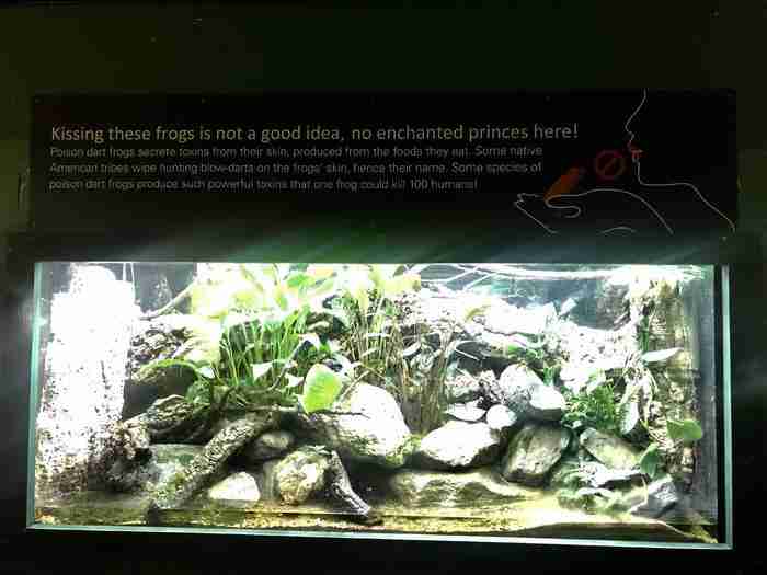 伦敦动物园开放时间 伦敦动物园几点开放