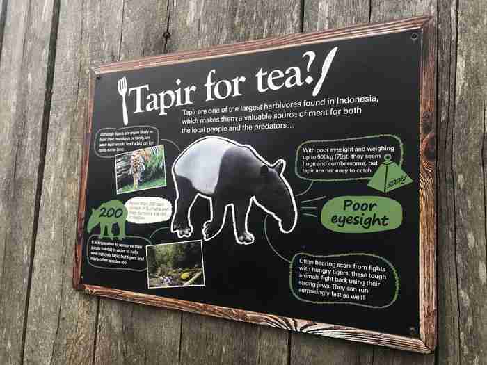 伦敦动物园开放时间 伦敦动物园几点开放