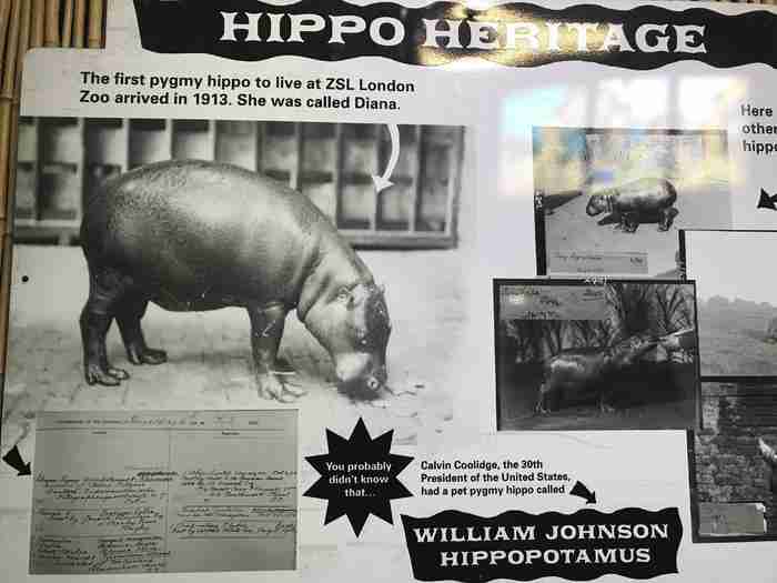 伦敦动物园开放时间 伦敦动物园几点开放