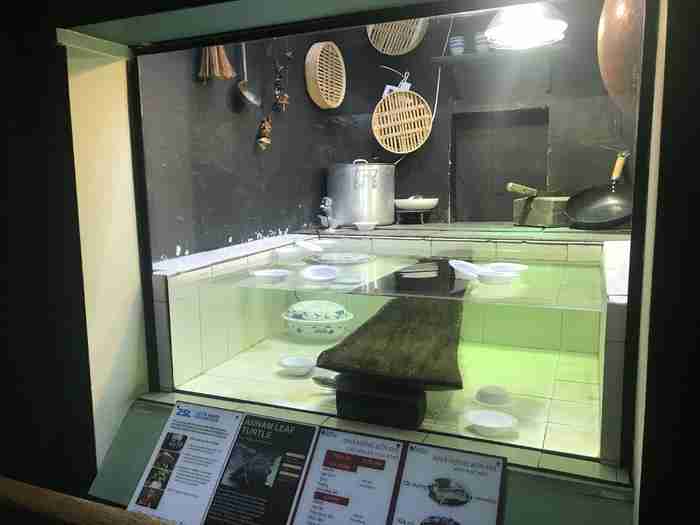 伦敦动物园开放时间 伦敦动物园几点开放