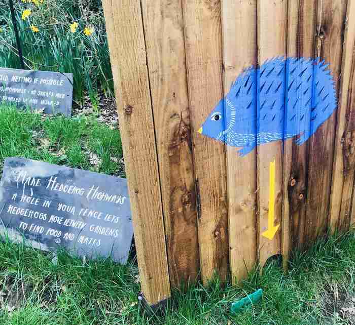 伦敦动物园开放时间 伦敦动物园几点开放