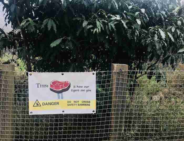 伦敦动物园开放时间 伦敦动物园几点开放