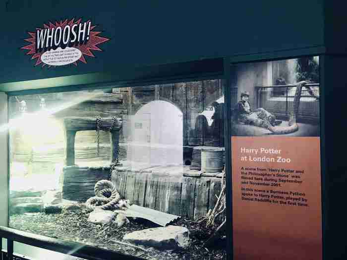 伦敦动物园开放时间 伦敦动物园几点开放