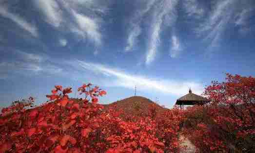 青天河門票多少錢2018 青天河一日游 青天河門票多少錢2018 青天河一日游