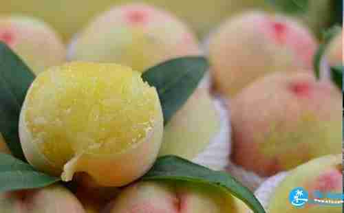 无锡特产有哪些适合带回家 无锡特产有哪些适合带回家