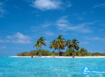 马尔代夫网络怎么办理 