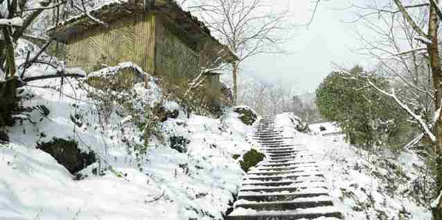 2018西岭雪山门票价格+优惠政策学生票 2018西岭雪山门票价格+优惠政策学生票