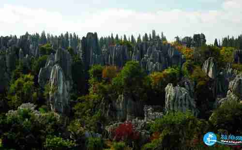 昆明云南石林怎么停车 昆明去石林怎么坐车 昆明云南石林怎么停车 昆明去石林怎么坐车