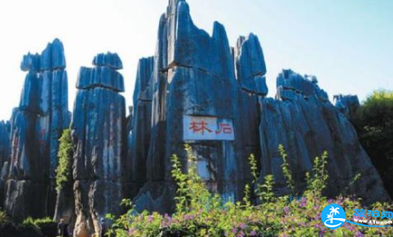 昆明云南石林怎么停车 昆明去石林怎么坐车 昆明云南石林怎么停车 昆明去石林怎么坐车