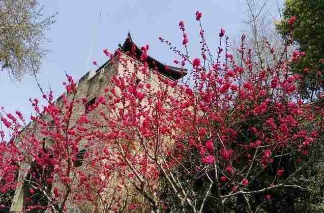 南京周末一日游免費(fèi)景點(diǎn)有哪些